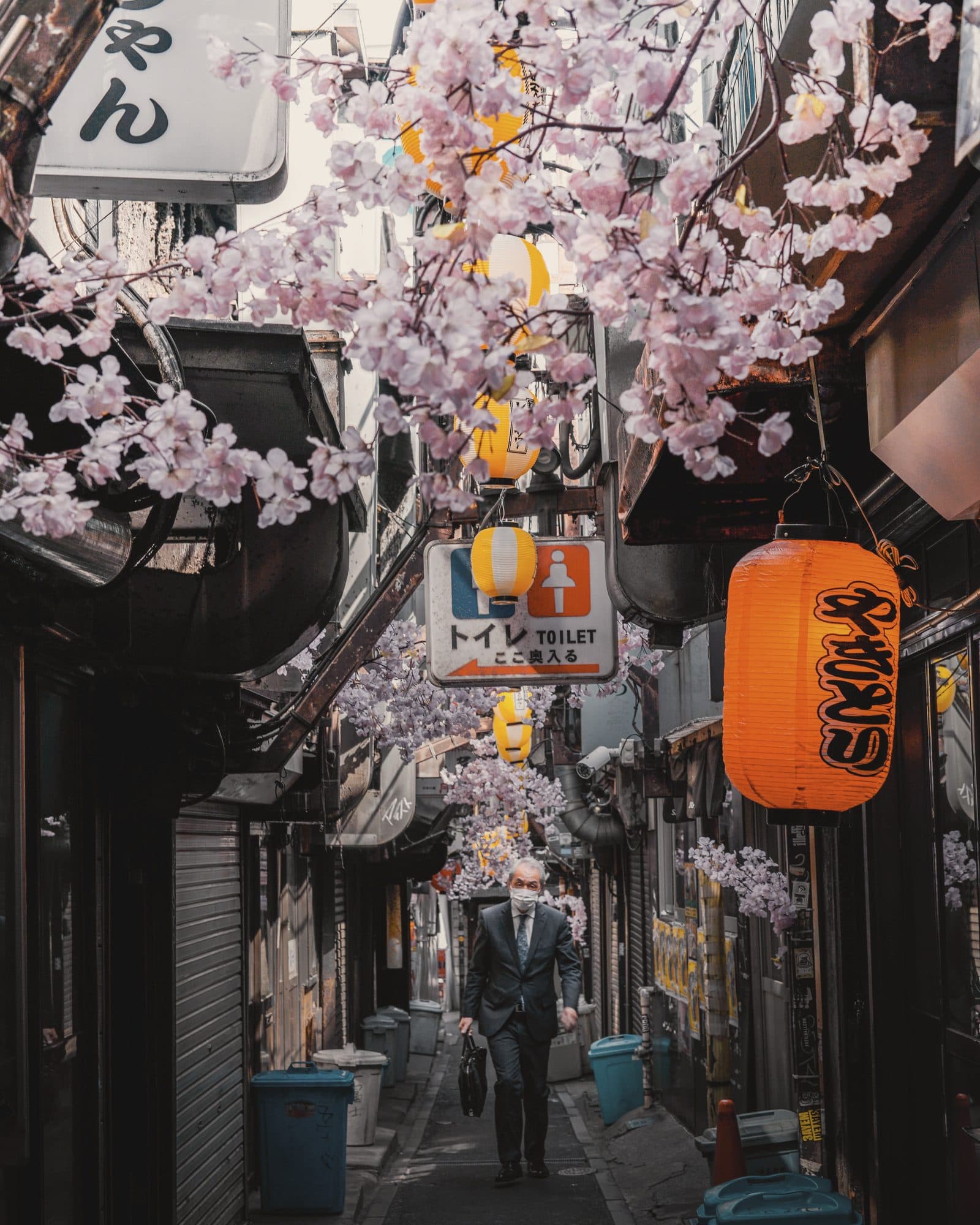 Cherry blossom and paper lanterns over a narrow Tokyo alley