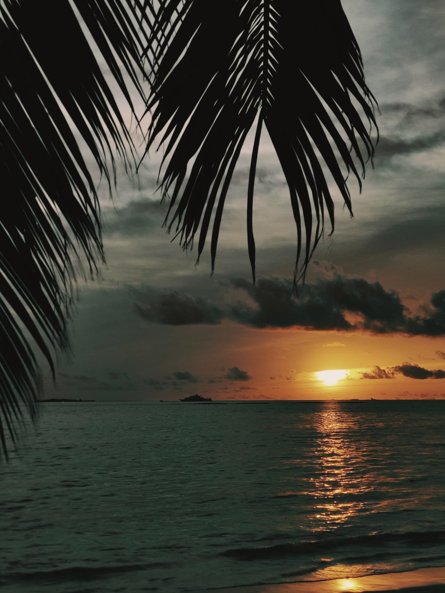 Sun setting over the Indian Ocean beneath palm fronds